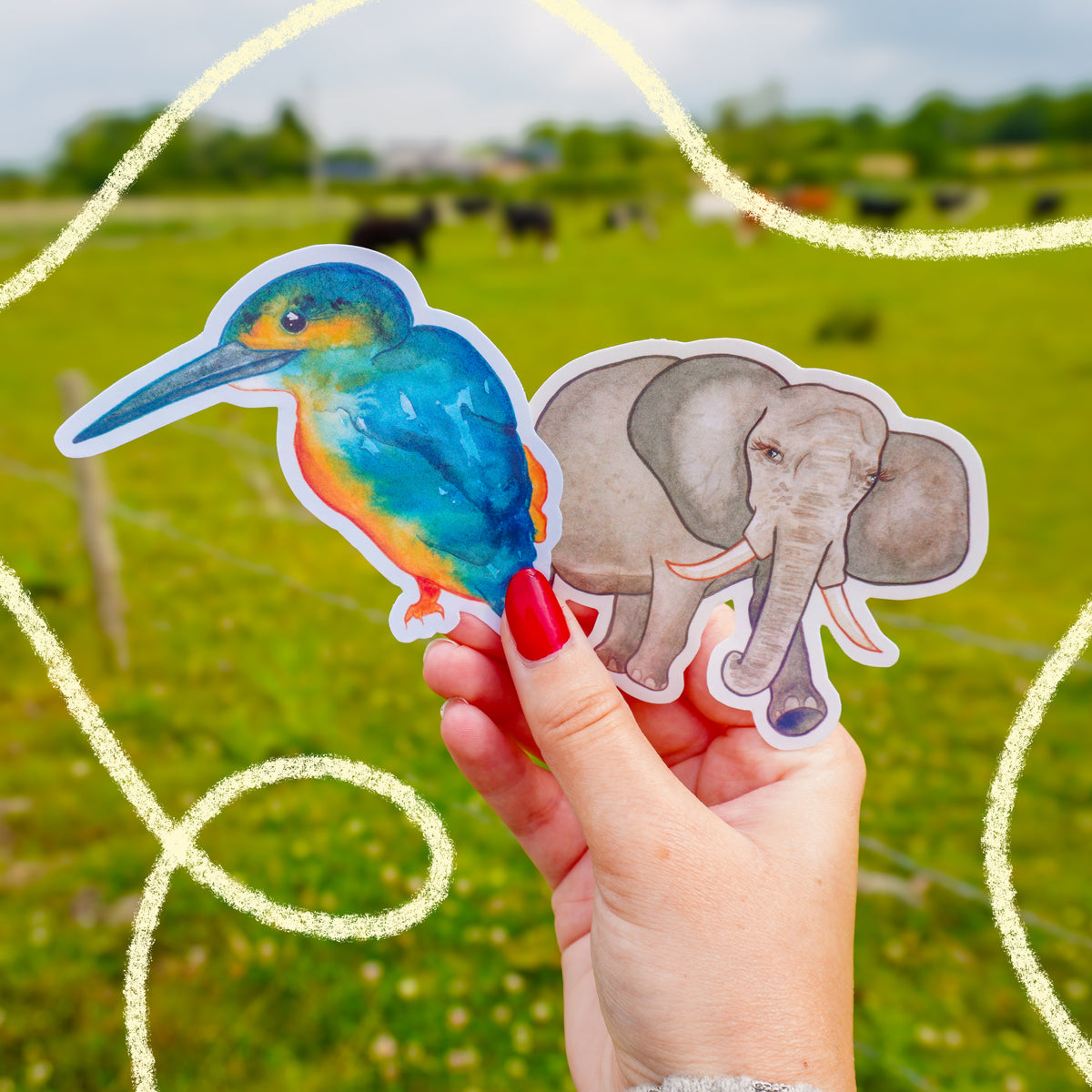 Animal Sticker Bundle - Pack of 4